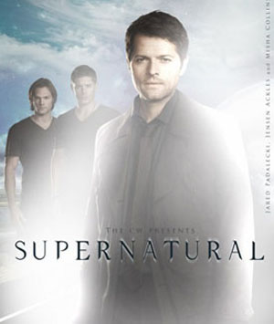 Supernatural Season 10 dvd poster
