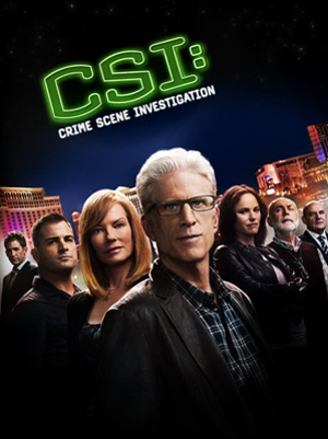 CSI Lasvegas Season 15 dvd poster