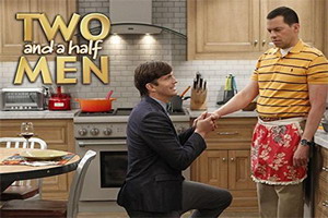 Two and a Half Men Seasons 1-12 dvd-2