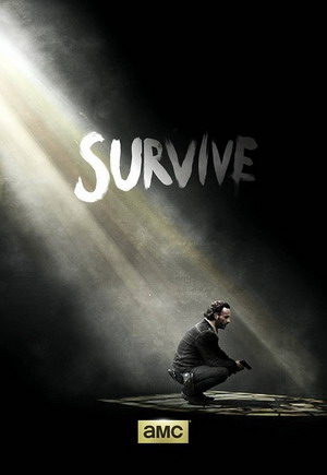 The Walking Dead Seasons 1-5 dvd poster
