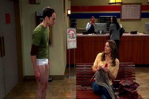 The Big Bang Theory Seasons 1-8 dvd-1