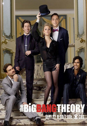 The Big Bang Theory Seasons 1-8 dvd poster